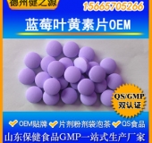 藍莓葉黃素片OEM 兒童護眼產品視覺吸引備案產品壓片糖果