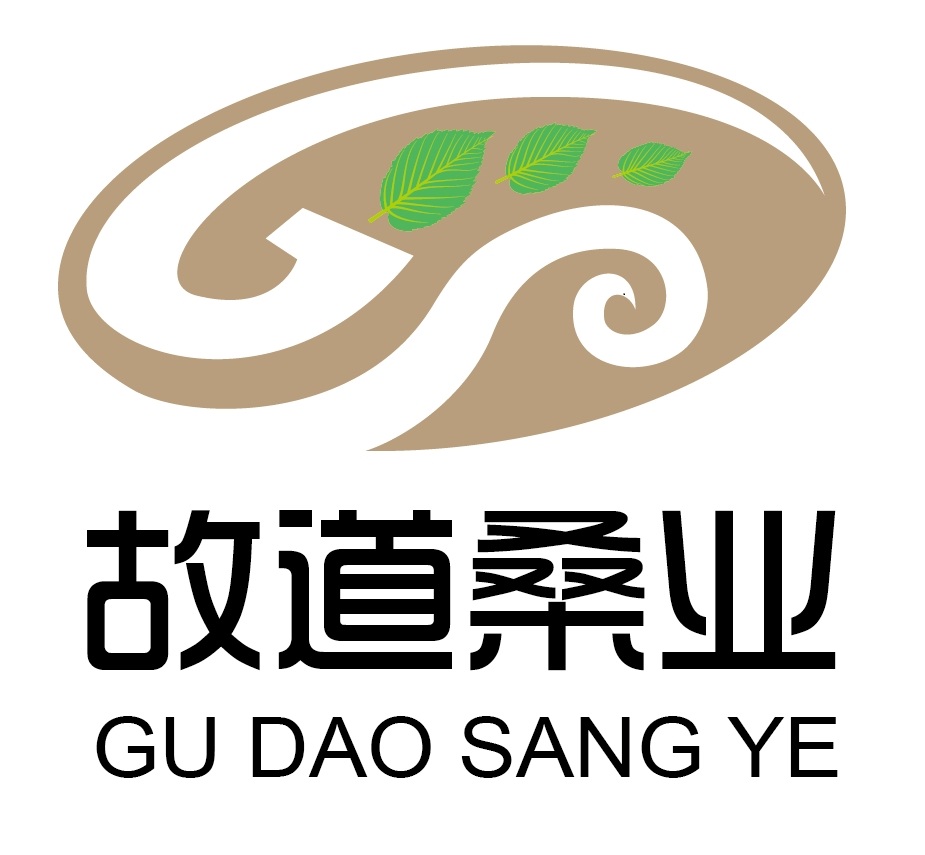 喝茶就可以防脫生發(fā)，太神奇了！桑葉養(yǎng)生茶